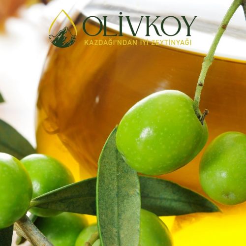 Erken Hasat Zeytinyağı Nedir ?