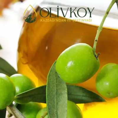 Erken Hasat Zeytinyağı Nedir ?