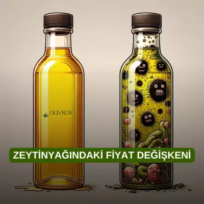 2024 Güncel Zeytinyağı Fiyatları ve Değişkenlik Nedenleri
