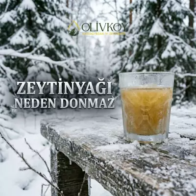 Zeytinyağı Buzdolabında Neden Donmaz?