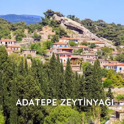 Tarihin ve Doğanın Buluştuğu Yerden: Adatepe Zeytinyağı