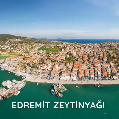Edremit: Zeytin Bahçelerinin Kalbinden İyi Zeytinyağı