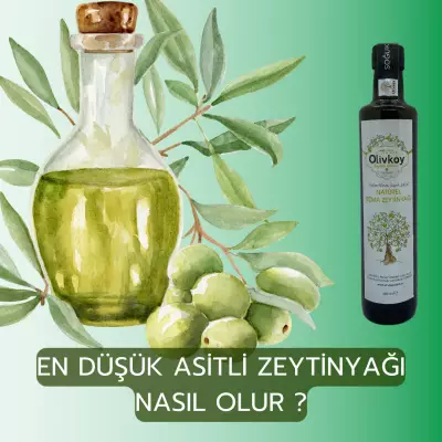 En Düşük Asitli Zeytinyağı Hangisidir ?