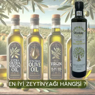 En İyi Zeytinyağı Hangisidir?