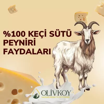 Keçi Peynirinin Faydaları