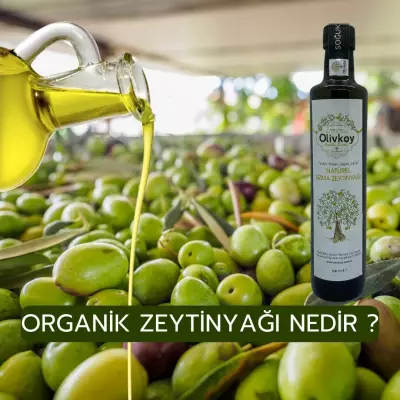 Organik Zeytinyağı Nedir?