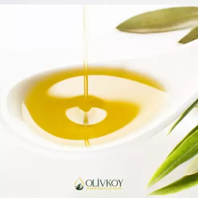 Zeytinyağının Anti-inflamatuar Etkileri ve Bağışıklık Sistemi Üz